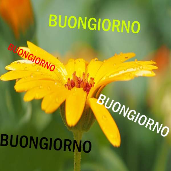 L’hashtag #Buongiorno