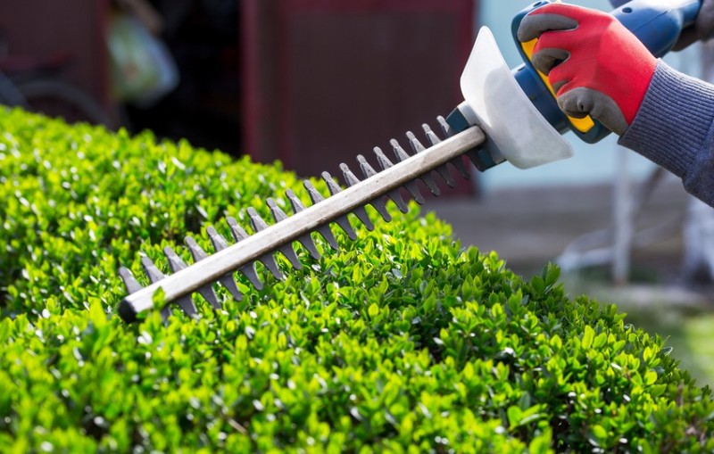 Macchine da giardino: ecco alcuni consigli su dove acquistarle in modo sicuro