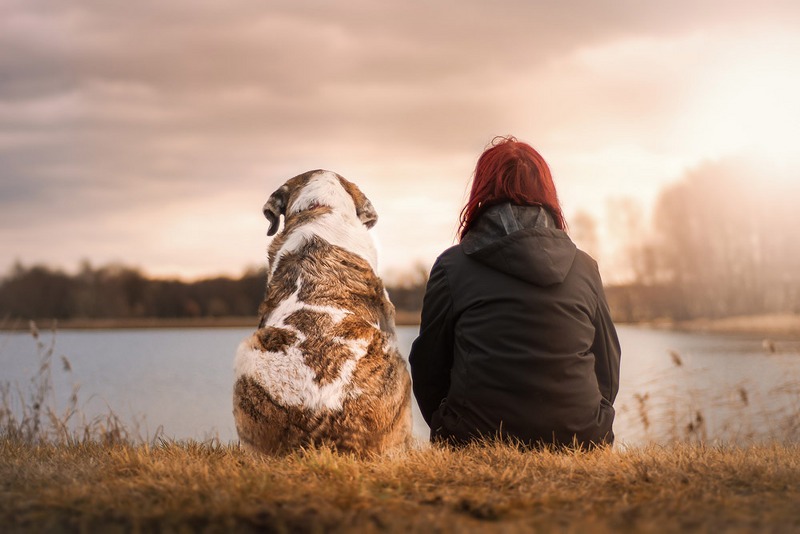 Terapia con gli animali, perché funziona